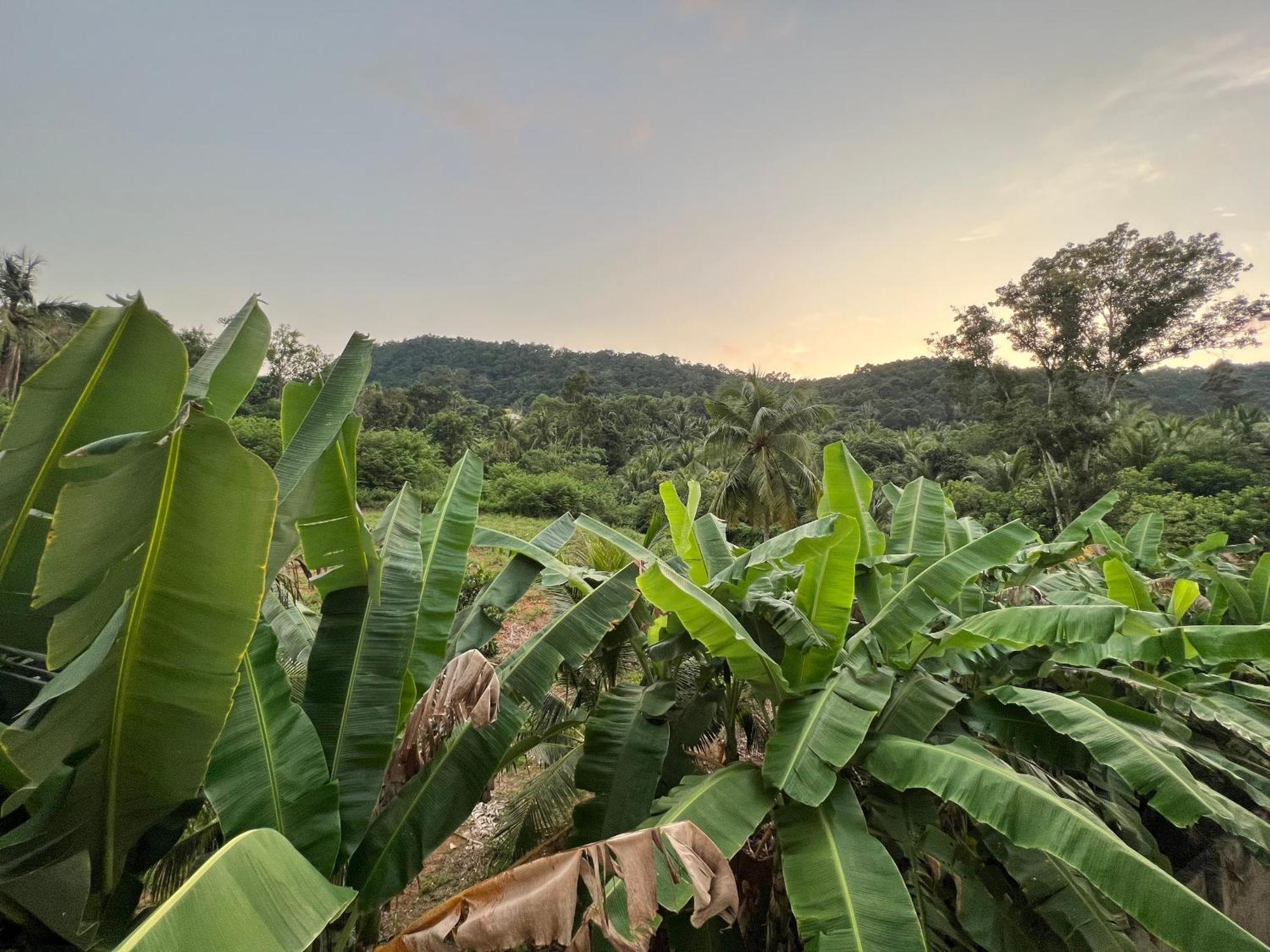 Bungalow Sang Tuoi Mountains Phu Quoc Buitenkant foto